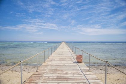 Kniha: Cesta za svobodou