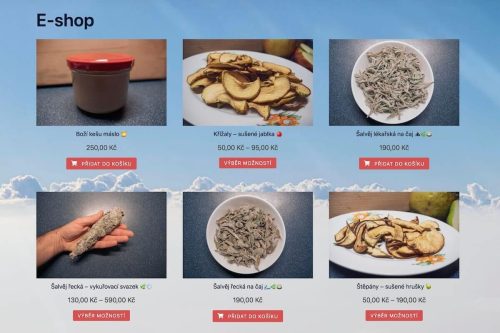 Listopad 2023 - Spuštění e-shopu