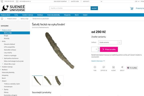 Srpen 2024 - První velkoobchodní prodej