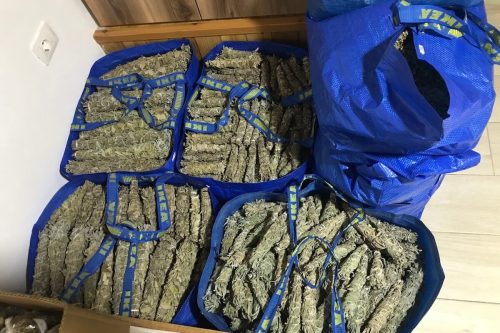 Listopad 2024 - Vyrobeno a dovezeno autem 50kg