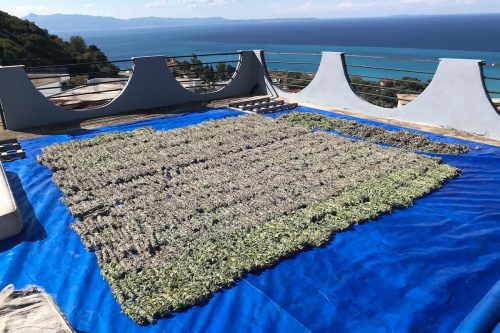 Říjen 2025 - Vyrobeno a exportováno 100kg